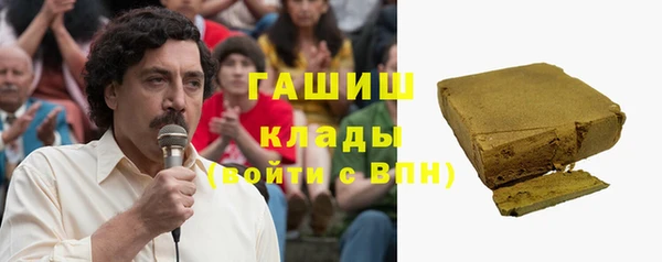 ECSTASY Алзамай