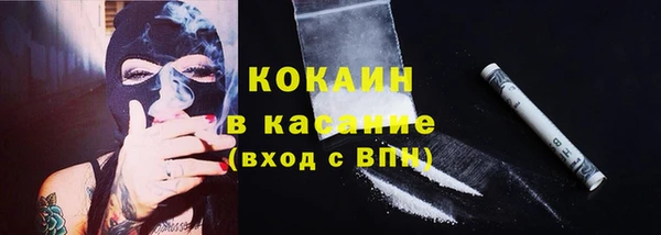 ECSTASY Алзамай