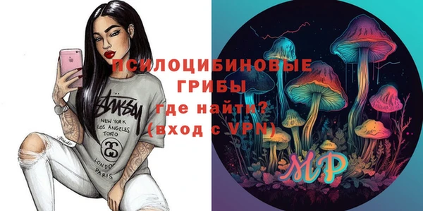 ECSTASY Алзамай