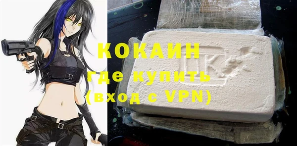 ECSTASY Алзамай