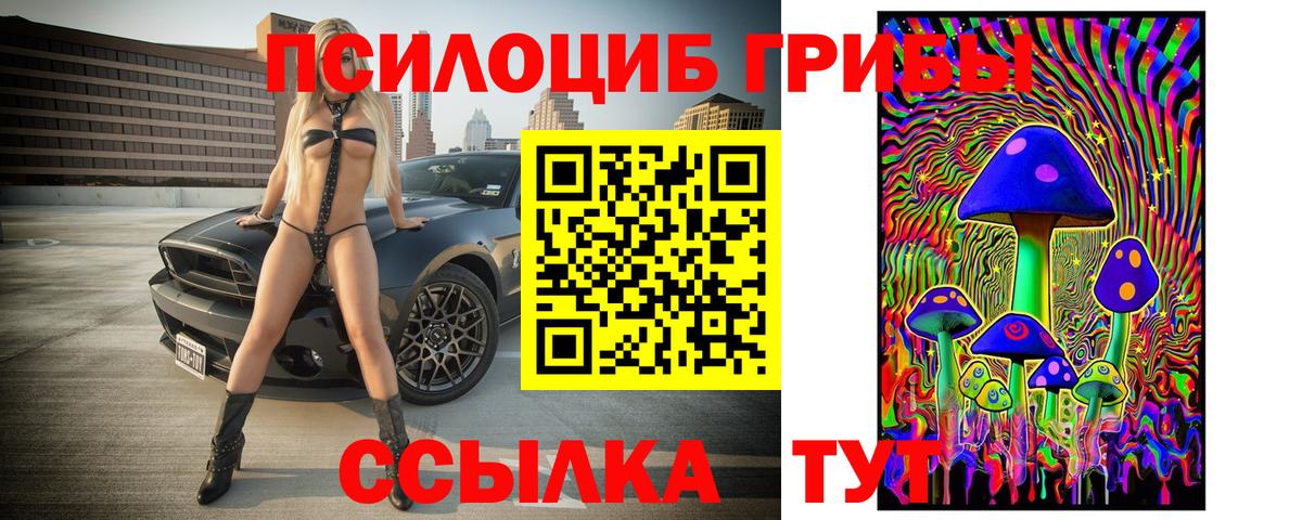 Псилоцибиновые грибы GOLDEN TEACHER  где продают наркотики  Вход с VPN  Углич  Галлюциногенные грибы Magic Shrooms 
