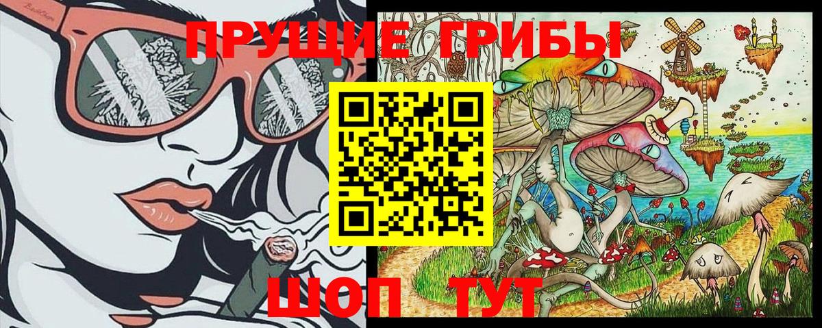 Псилоцибиновые грибы Psilocybe Углич